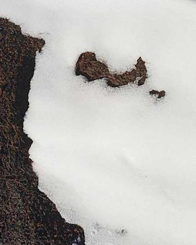 L’Abominable femme des neiges (titre provisoire)